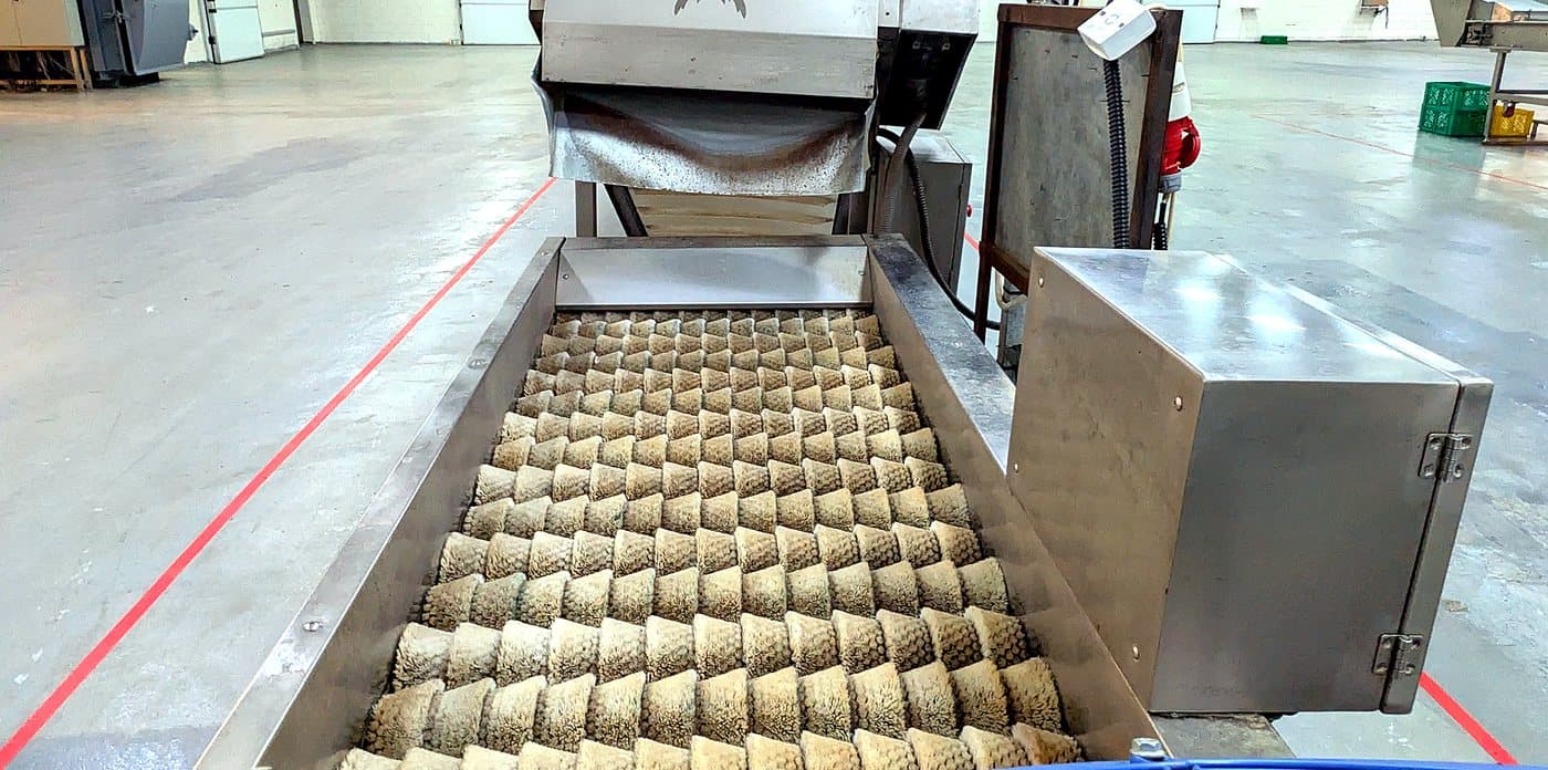 Dates being mechanically sorted and cleaned on the processing line